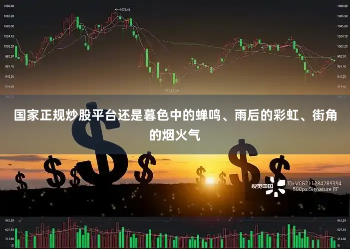 国家正规炒股平台还是暮色中的蝉鸣、雨后的彩虹、街角的烟火气